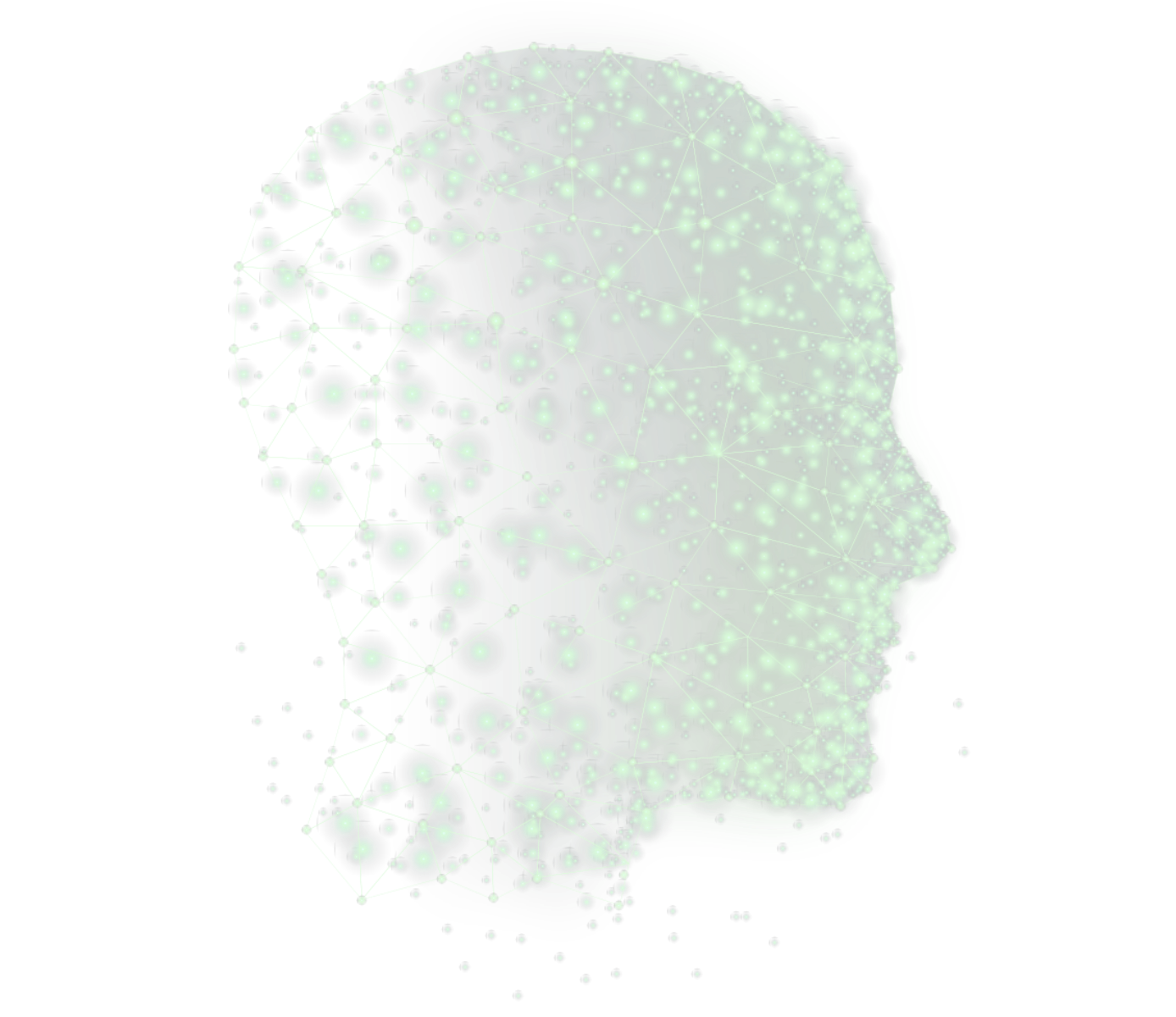 AI Vision